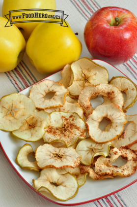 Rodajas de manzanas secas espolvoreadas con canela se muestran en un plato.