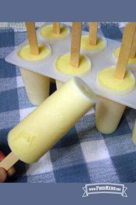 Fruit Yogurt Popsicle with popsicle holder