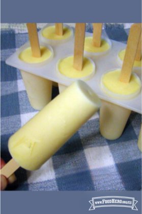 Paleta de Yogur de Frutas con soporte para paletas