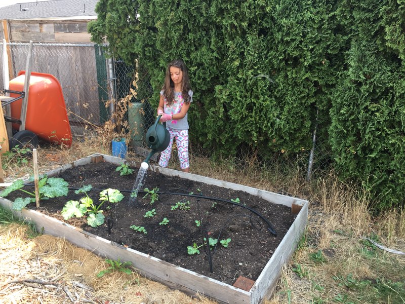 Garden Lessons: Food Webs Project: Part III (5th Grade) — Highland Youth  Garden