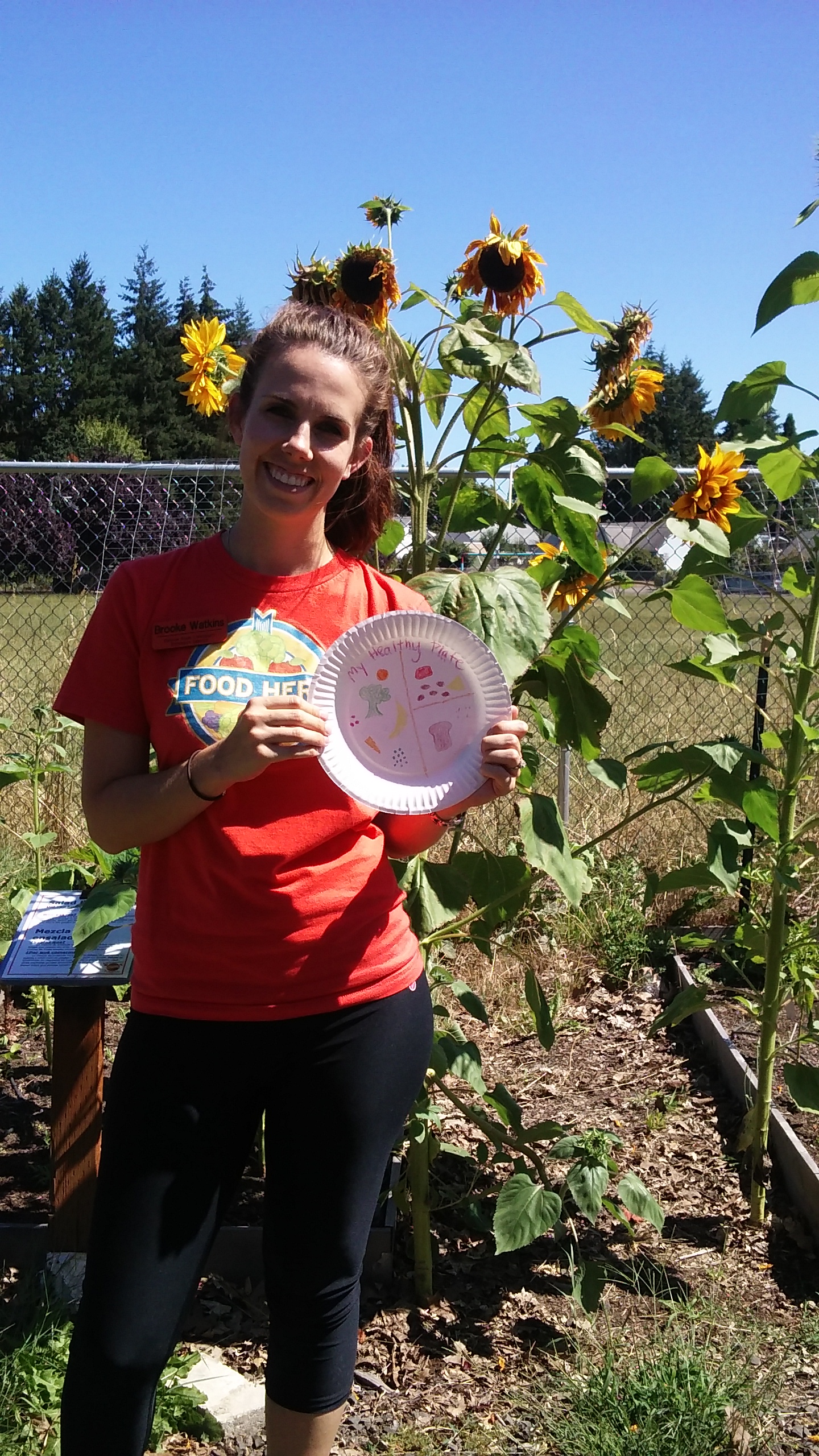 Garden Lessons: Food Webs Project: Part III (5th Grade) — Highland Youth  Garden