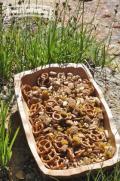 Wooden bowl with a mixture of nuts, twist pretzels and cereal.