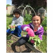 Videos de Jardinería