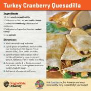 Turkey Cranberry Quesadilla Recipe Card