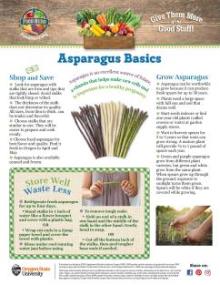 cover of Asparagus Basics information