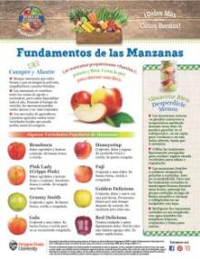 Fundamentos de las Manzanas 1
