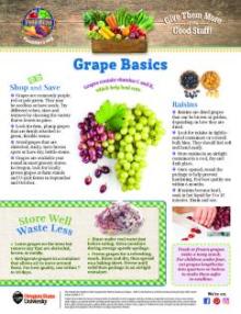 Grapes Basics page 1