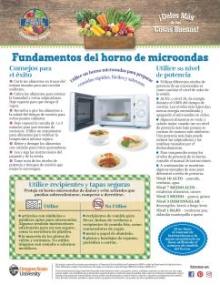 Fundamentos del horno de microondas pagina 1