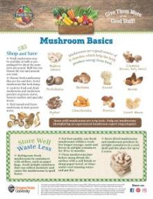 Mushroom Monthly Magazine front page