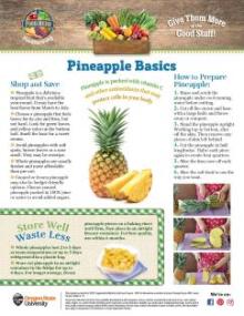 Pineapple Basics page 1