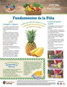 Fundamentos de la Piña pagina 1