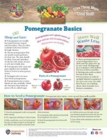 Pomegranate Basics page 1