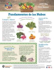 Fundamentos de los Nobos boletín mensual página 1