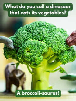 broccoli food joke