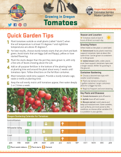 Tomato Gardening Tip sheet