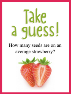 Example of Take a Guess Game with strawberry