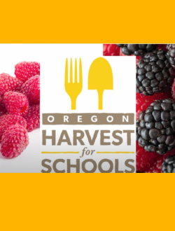 oregon harvest for schools example