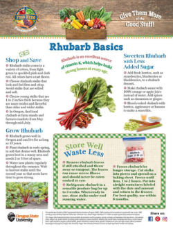 Rhubarb cover of food hero monthly 