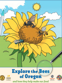 Explores the Bees of Oregon cover 