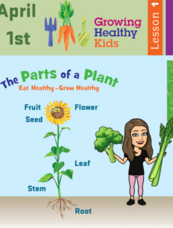 Growing Healthy Kids curriculum image