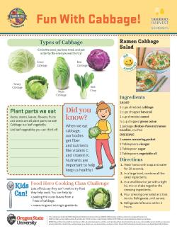 Fun With Cabbage