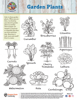 Garden Plants Coloring Sheet