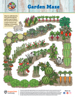 Garden Maze image
