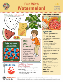 Watermelon Activity Sheet 