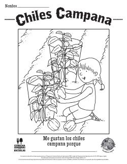 Chiles Campana