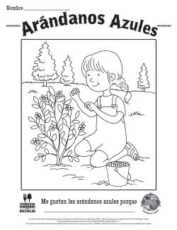 Arándanos Azules