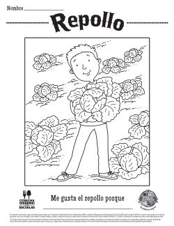 Repollo