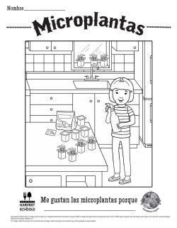 Microplantas 