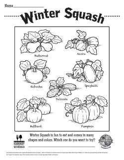 Winter Squash Coloring Sheet 2