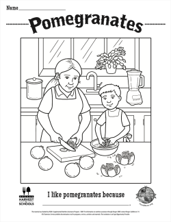 Pomegranate coloring sheet