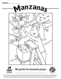 Manzanas 
