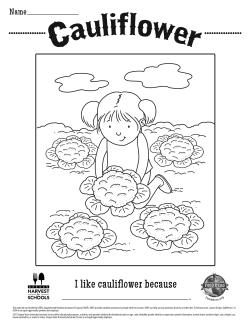 Cauliflower Coloring Sheet 