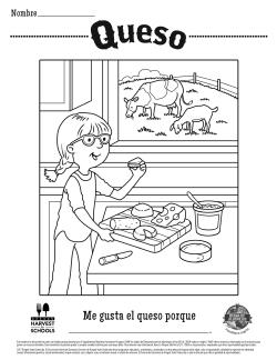 Queso 
