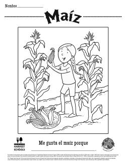 Maíz