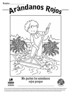 Arándanos Rojos