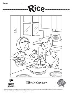 Rice