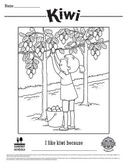 Kiwi Coloring Sheet