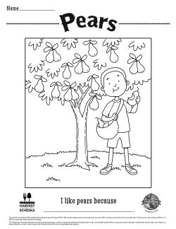 Pears Coloring Sheet 