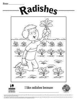 Radishes Coloring Sheet 