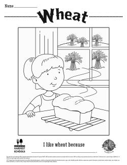 Wheat
