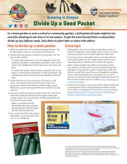 Get the most harvest from a seed packet