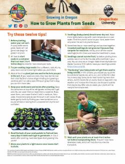 Seed Starting - How to Grow Plants from Seeds
