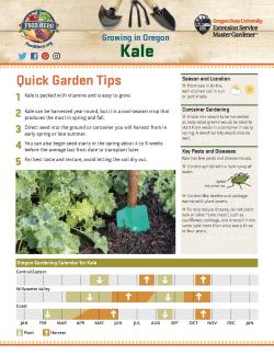 Gardening Tip Sheet Kale 