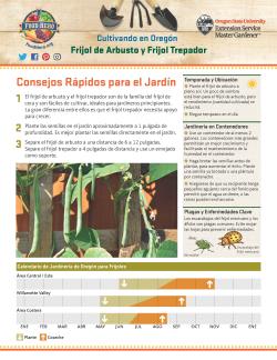 Frijol de Arbusto y Frijol Trepador - Pagina 1