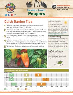 Peppers