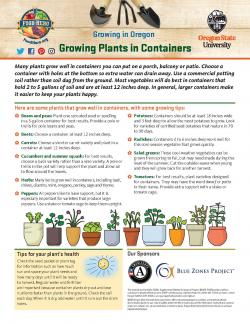 Growing Plants in Containers